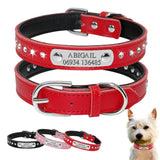 Dog Collar