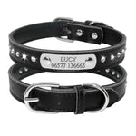 Dog Collar