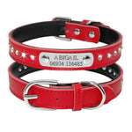 Dog Collar