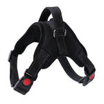 Dog Harness