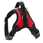 Dog Harness