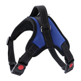 Dog Harness