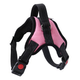 Dog Harness