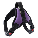 Dog Harness