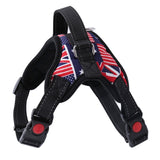 Dog Harness