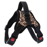 Dog Harness