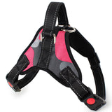 Dog Harness