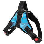 Dog Harness