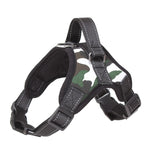 Dog Harness